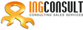 INGCONSULT